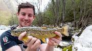 Ed Marble hybrid trout April, Slovenia fly fishing